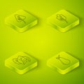 Set Isometric Leaf or leaves, Leaf or leaves, Pear and Leaf or leaves icon. Vector