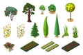 Set isometric of plants for garden. Trees, flower beds and vegetable beds Royalty Free Stock Photo