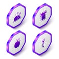 Set Isometric Roasted turkey or chicken, Bread toast, Plum fruit and Fork icon. Purple hexagon button. Vector