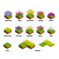 Set of Isometric Tiles Flowers Royalty Free Stock Photo