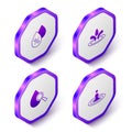 Set Isometric Water drop percentage, Drop and magnifying glass and icon. Purple hexagon button. Vector Royalty Free Stock Photo