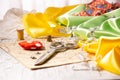 Set of items for cutting and sewing Royalty Free Stock Photo