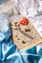 Set of items for cutting and sewing Royalty Free Stock Photo