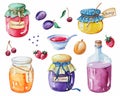 Watercolor set jars of jam Royalty Free Stock Photo