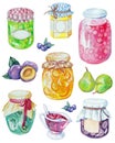 Watercolor set jars of jam Royalty Free Stock Photo