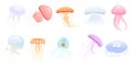 Set of Jellyfish medusa underwater animal colorful vector illustration isolated on white background