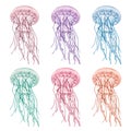 Set jellyfish, purple, blue, green, pink medusa. Deep sea toxic animal. Hand-drawn watercolor illustration isolated on