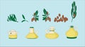 Set of jojoba oil and bottle elements. icon design template with various models. vector illustration on blue background