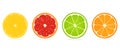 Set of juicy citrus slices.Stock vector illustration. Lemon, orange, grapefruit, lime icons. Bright colorful Isolated elements on Royalty Free Stock Photo