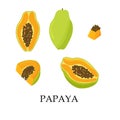 Set of juicy exotic papaya fruits, its halves, slice, pieces, isolated on a white background. Vector flat illustration Royalty Free Stock Photo