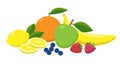 Set of juicy fruits and berries grouped in flat design. Vitamins food vector concept illustration isolated on white.