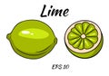 Set of juicy limes. Lime, whole and half cut. Illustrations for design and decoration Royalty Free Stock Photo