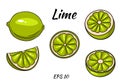 Set of juicy limes. Lime, whole and half cut. Illustrations for design and decoration. Royalty Free Stock Photo
