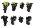 Set with juicy ripe grapes Royalty Free Stock Photo