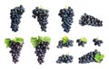 Set with juicy ripe grapes Royalty Free Stock Photo