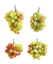 Set with juicy ripe grapes Royalty Free Stock Photo