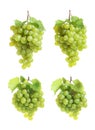 Set with juicy ripe grapes Royalty Free Stock Photo