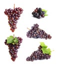 Set with juicy ripe grapes Royalty Free Stock Photo