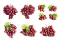 Set with juicy ripe grapes Royalty Free Stock Photo