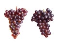 Set with juicy ripe grapes Royalty Free Stock Photo