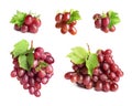 Set with juicy ripe grapes Royalty Free Stock Photo