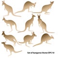 Set of kangaroo silhouettes in various postures Royalty Free Stock Photo