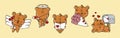 Set of Kawaii Brown Bear Illustrations. Collection of Cute Vector Isolated Bear Illustrations.