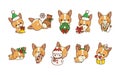 Set of Kawaii Christmas Corgi Dog Vector. Collection of Vector Xmas Puppy Illustrations for Stickers