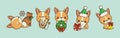 Set of Kawaii Christmas Corgi Dog Vector. Collection of Vector Xmas Puppy Illustrations for Stickers