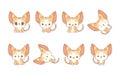 Set of Kawaii Isolated Abyssinian Cat. Collection of Vector Cartoon Baby Animal Illustrations for Stickers, Baby Shower