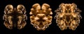 Set of kernel walnut isolated on a black background Royalty Free Stock Photo