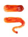 Set of ketchup splash or tomato sauce blobs isolated