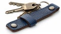 A set of keys with a blue leather keyholder. Royalty Free Stock Photo