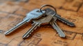 Set of Keys on Detailed Architectural Blueprint Royalty Free Stock Photo