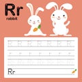 R, rabbit, Alphabet tracing worksheet for preschool and kindergarten to improve basic writing skills, vector, illustration