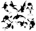 Set of killer whales. Collection of stylized orca whale. Black white vector illustration of sea predatory fish. Tattoo. Royalty Free Stock Photo