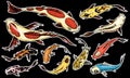 Set of Koi carps, japanese fish on black background. colored korean animals. Sea creature. Engraved hand drawn line art