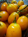 A set of kumquat fruit stacked up close