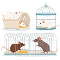 Set of lab rats in cages Royalty Free Stock Photo