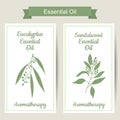 Set of 2 labels with Eucalyptus and sandalwood