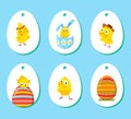 Set of labels with funny Easter chickens Royalty Free Stock Photo