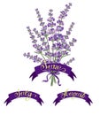 Set labels with hand-drawn lettering, months names of season year, Beautiful bouquet of lavender flowers