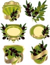 Set of labels with olive branches