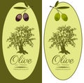 Set of Labels for Olive Oils Royalty Free Stock Photo