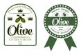 Set of Labels for Olive Oils. Vector illustration Royalty Free Stock Photo