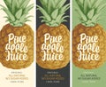 Set of labels for pineapple juice in retro style Royalty Free Stock Photo