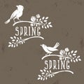 Set of labels of spring birds in branches leaves and flower