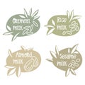 A set of labels for vegetable milk. Milk for vegetarians from varieties of grains and nuts. Milk without lactose. An