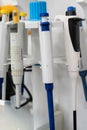 Micropipettes Arranged on a Laboratory Stand Royalty Free Stock Photo