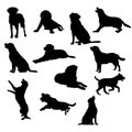 Set of Labrador Retriever Silhouette vector Illustration Eps10 Royalty Free Stock Photo